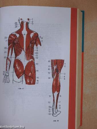 Fachwörterbuch der Medizin