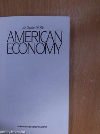 An Outline Of The American Economy