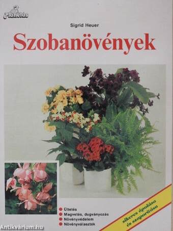 Szobanövények