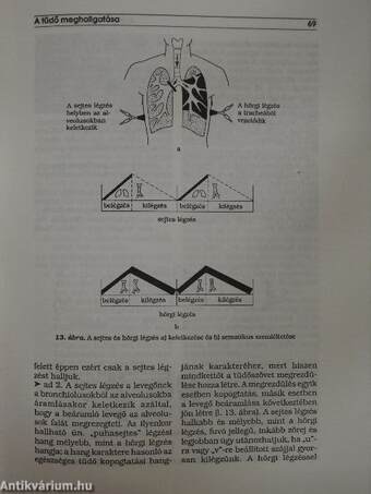 Belgyógyászati fizikális diagnosztika