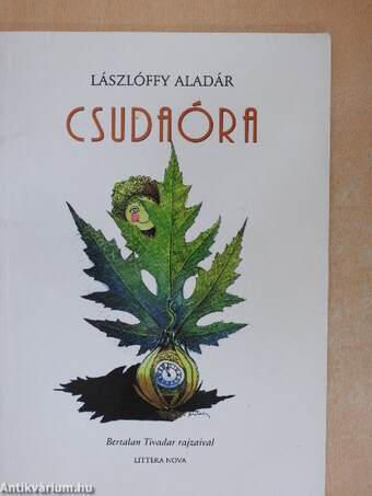 Csudaóra