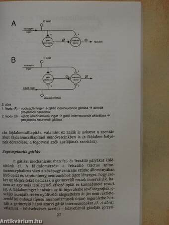 A fájdalomcsillapítás gyakorlati kérdései