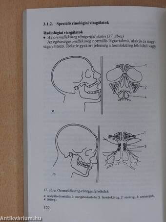 Fül-orr-gégészet