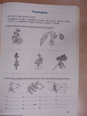 Természetismeret munkafüzet 5.