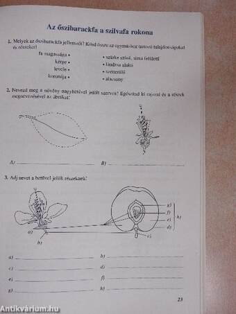 Természetismeret munkafüzet 5.