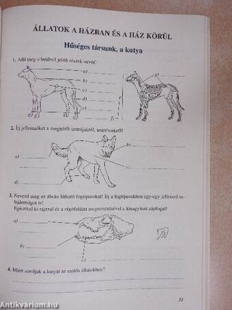 Természetismeret munkafüzet 5.