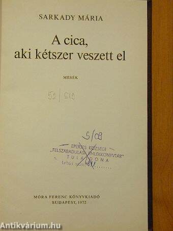 A cica, aki kétszer veszett el