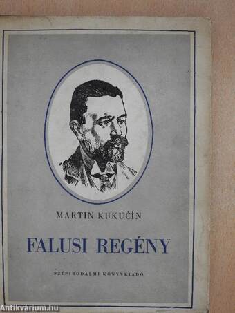 Falusi regény