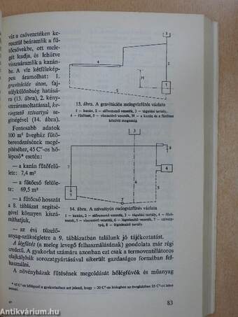 Jövedelmező háztáji zöldségtermesztés