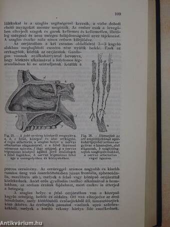 Medicina et Psychiatria Pastoralis I-II.