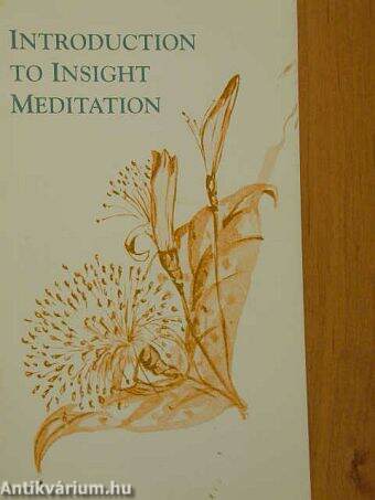 Introduction to Insight Meditation