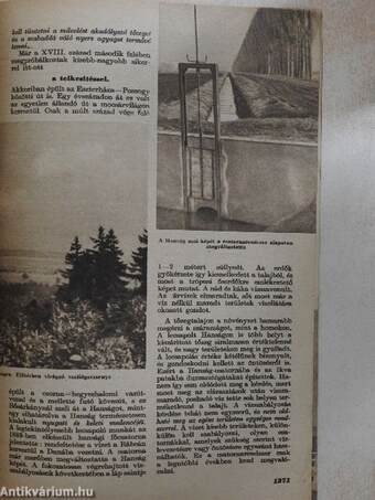 Élet és Tudomány 1956. október 24.