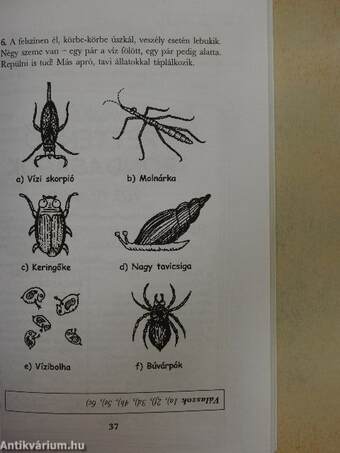 Bogaras rovarok és egyéb rondaságok