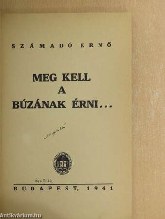 Meg kell a búzának érni...