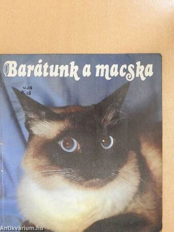 Barátunk a macska