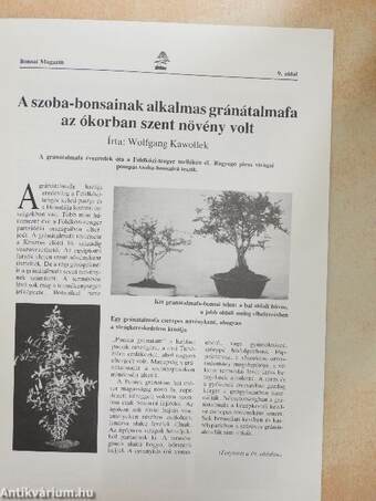 Bonsai Magazin 1988. nyár