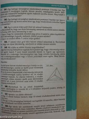 Matematika - Gyakorló és érettségire felkészítő feladatgyűjtemény II.