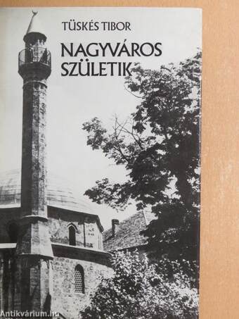 Nagyváros születik