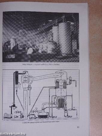 Évfordulóink a műszaki és természettudományokban 1993