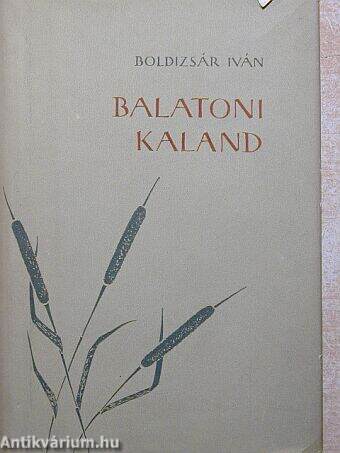 Balatoni kaland