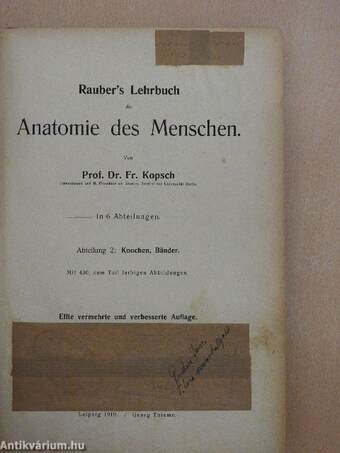 Rauber's Lehrbuch der Anatomie des Menschen Abteilung 2. (töredék)