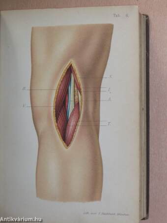 A sebészeti műtéttan alapvonalai