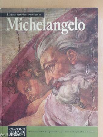 L'opera completa di Michelangelo pittore