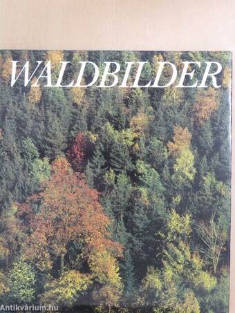 Waldbilder