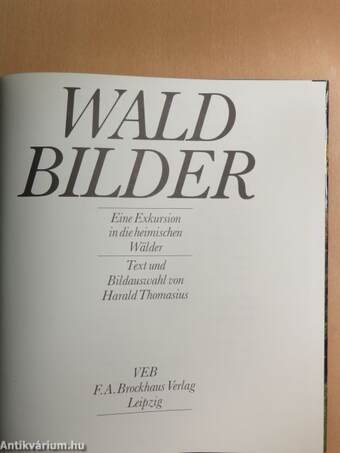 Waldbilder