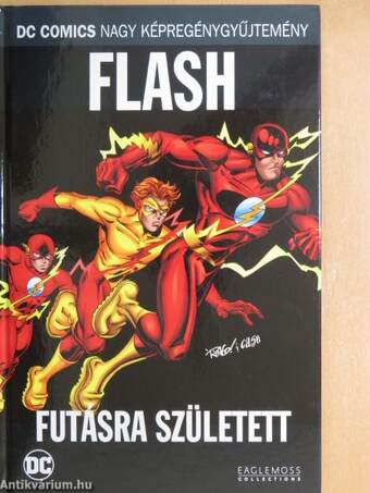 Flash - Futásra született