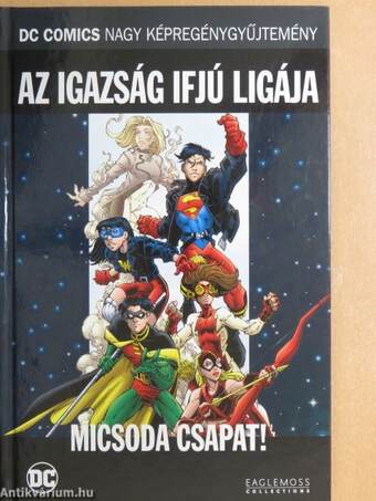 Az Igazság Ifjú Ligája - Micsoda csapat!