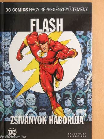 Flash - Zsiványok háborúja