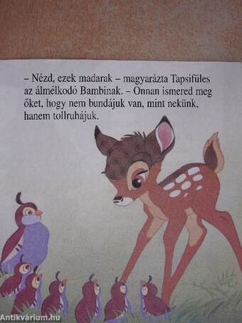 Bambi felfedezi a világot