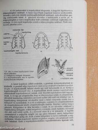 Biológia II.