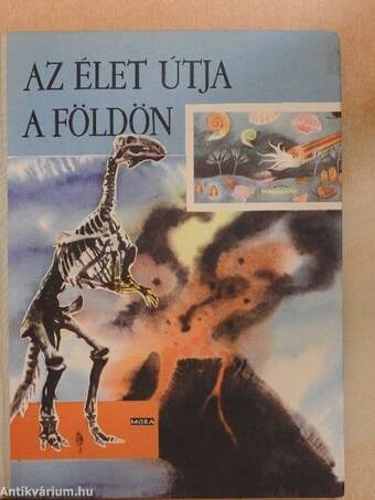 Az élet útja a Földön