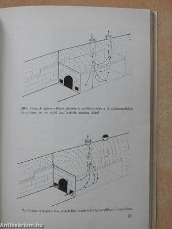 Gombatermesztési útmutató