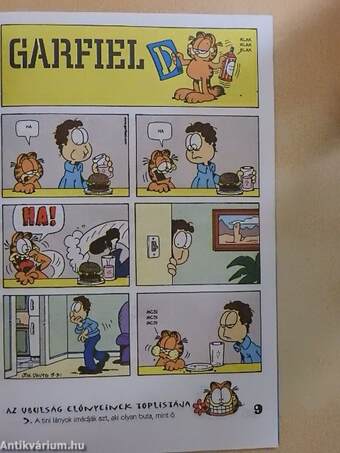 Garfield 1999/5.