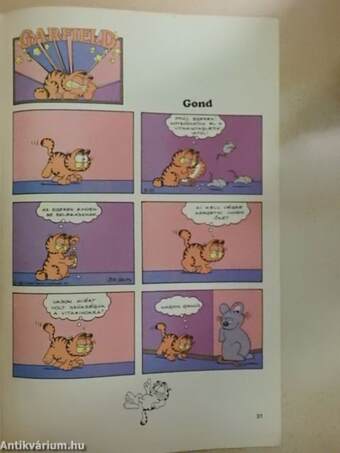 Garfield 1991/3.