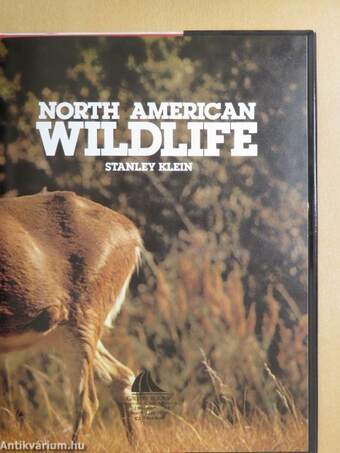 North American Wildlife