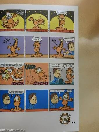 Garfield 1997/11.