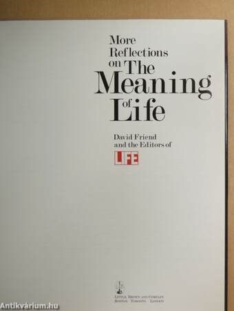 More Reflections on The Meaning of Life