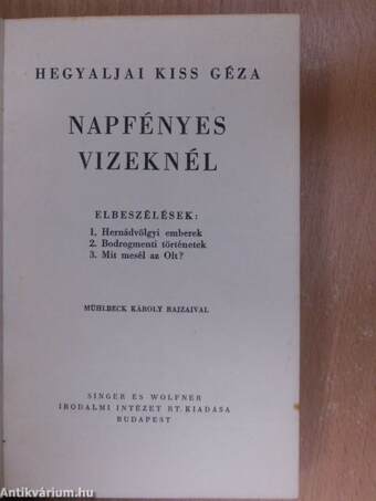 Napfényes vizeknél