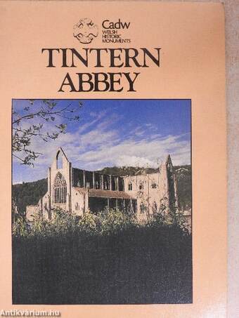 Tintern Abbey