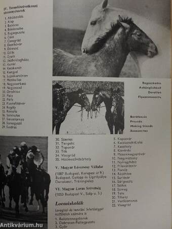 Magyar lótenyésztés 1945-1980