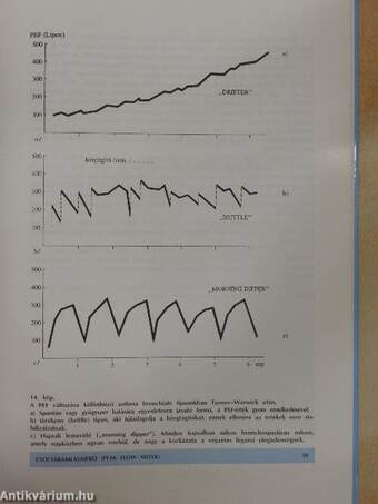 Gyakorlati légzésfunkciós és allergológiai diagnosztika