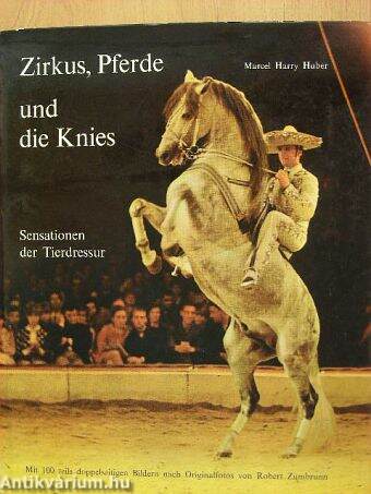 Zirkus, Pferde und die Knies