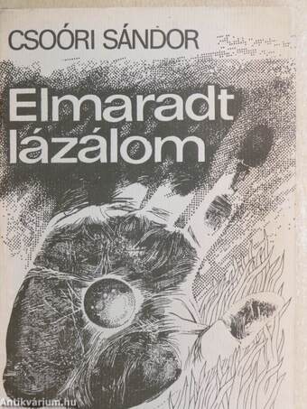 Elmaradt lázálom