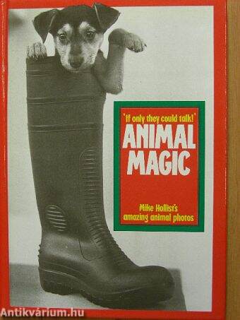 Animal Magic