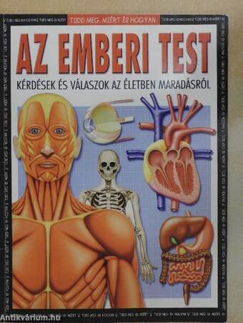 Az emberi test