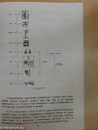 Az integrált hallássérült óvodás gyermekről